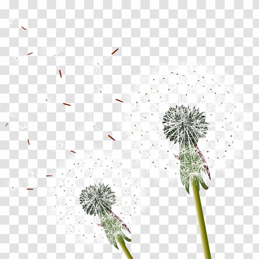 Dandelion Clip Art - Floral Design - Vector Material Transparent PNG