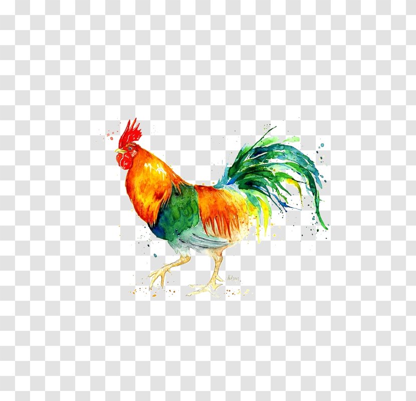 Chicken Watercolor: Animals Watercolor Painting Rooster - Wing Transparent PNG