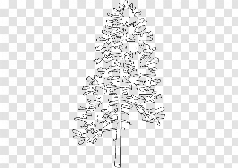 Fir Spruce Christmas Tree Twig Line Art - Conifer - Sketch Transparent PNG