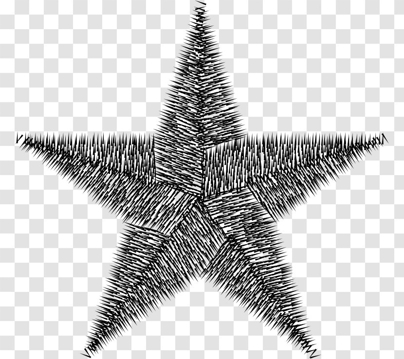 Star Clip Art - Gold - Monochrome Transparent PNG