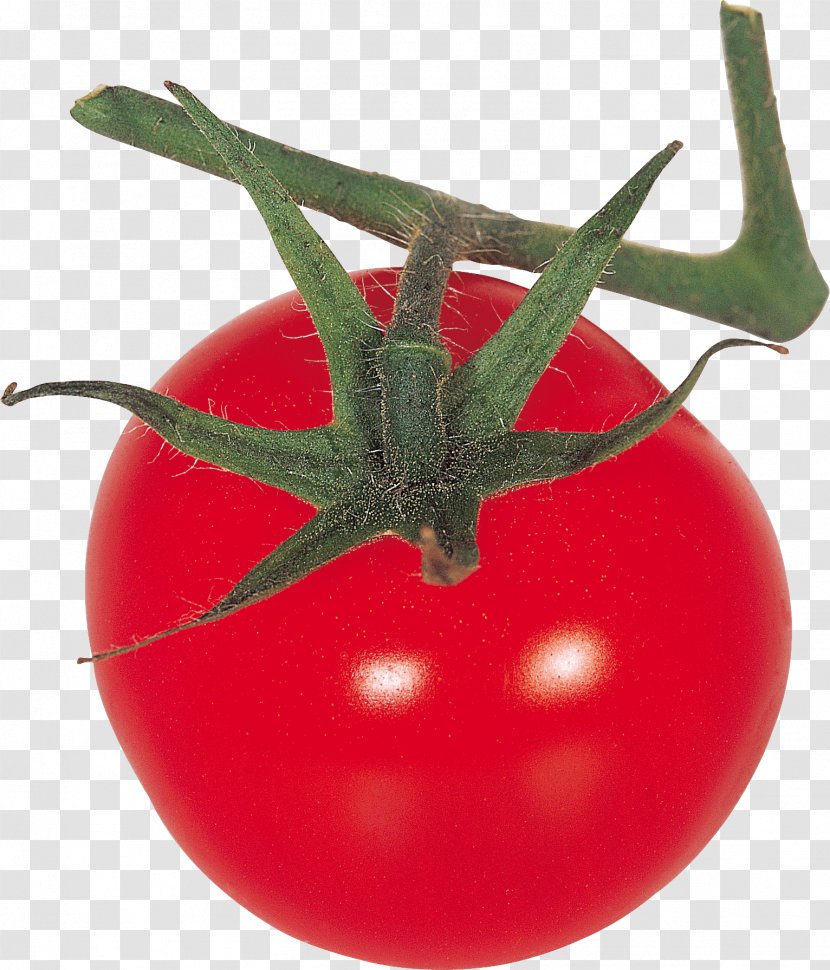 Tomato Vegetable Clip Art - Local Food - Image Transparent PNG
