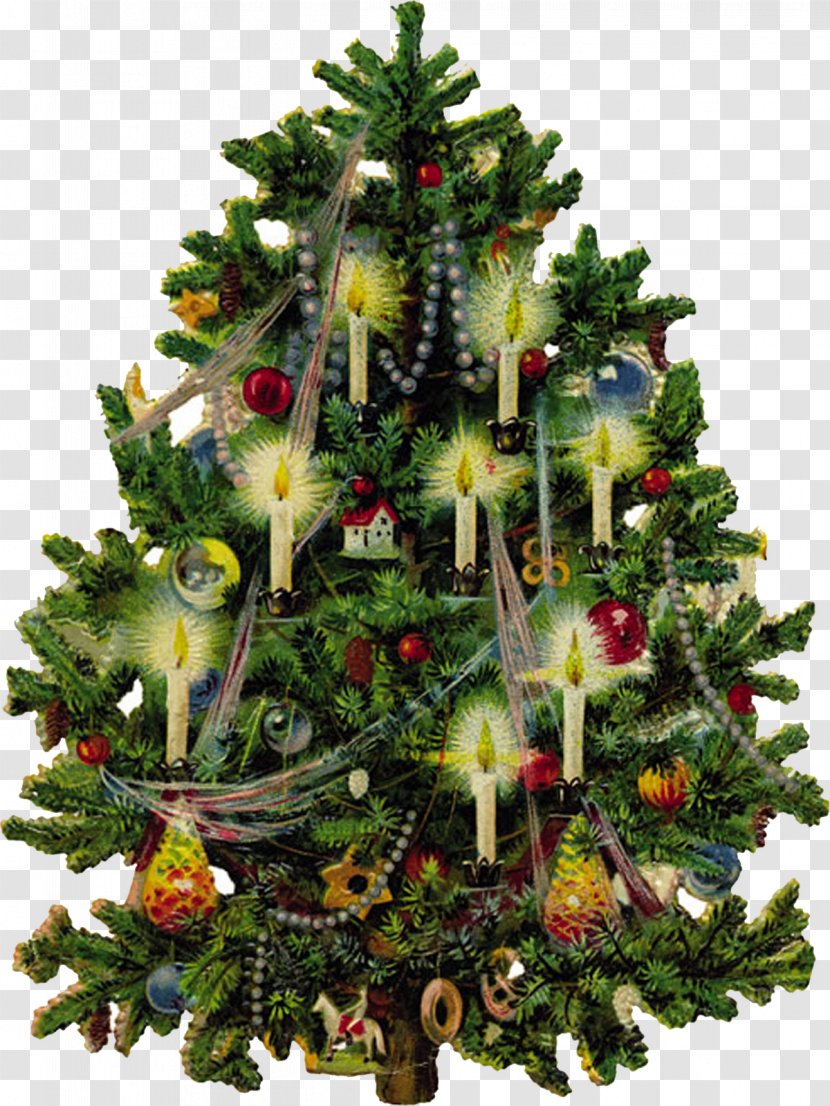 Victorian Era Christmas Tree Santa Claus Clip Art - Holiday - Treescard Transparent PNG