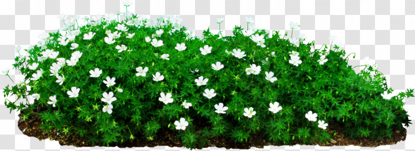 Flower Garden Transparent PNG