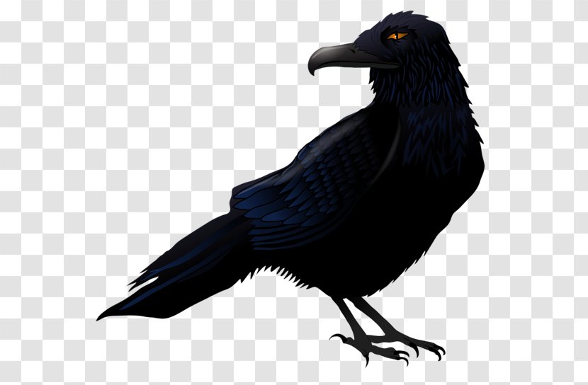 Common Raven Bird Clip Art - Creative Halloween Crow Transparent PNG