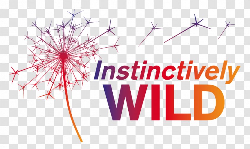 Definition Instinctively Wild Services CIC East Lothian Noble Ox Marketing Information - Word - Roll Borders Transparent PNG
