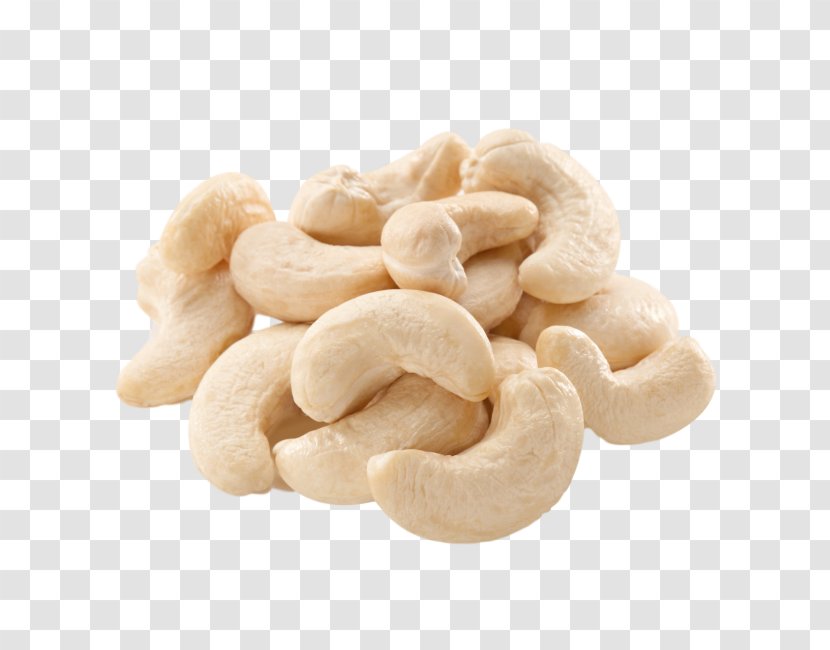 Cashew Korma Kaju Barfi Raw Foodism Nut - Common Hazel - Almond Transparent PNG