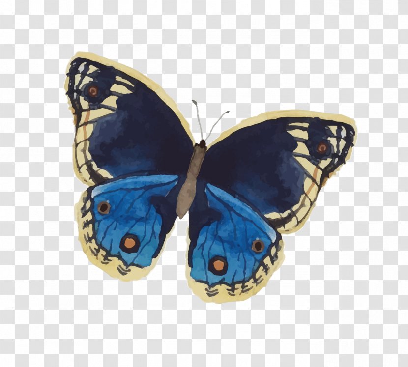 Butterfly Watercolor Painting Insect - Blue Transparent PNG