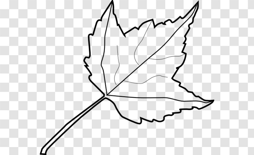 Maple Leaf Drawing Clip Art - Autumn Transparent PNG