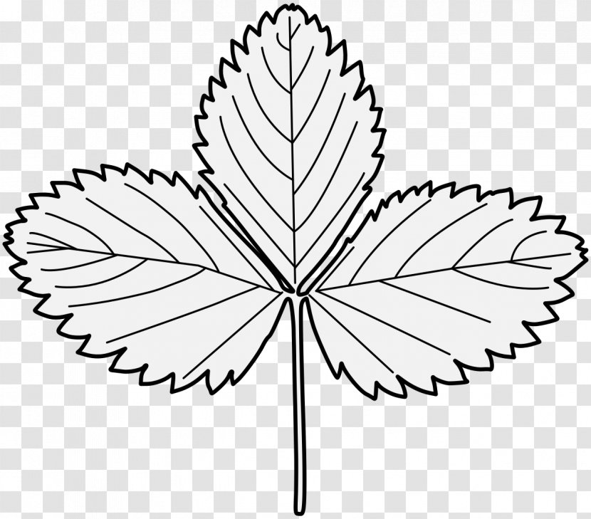 Drawing Strawberry Image Leaf Plants - Flower - Partial Pennant Transparent PNG