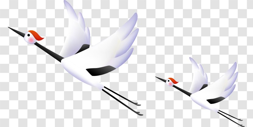 Red-crowned Crane Bird - Technology - Flying Transparent PNG