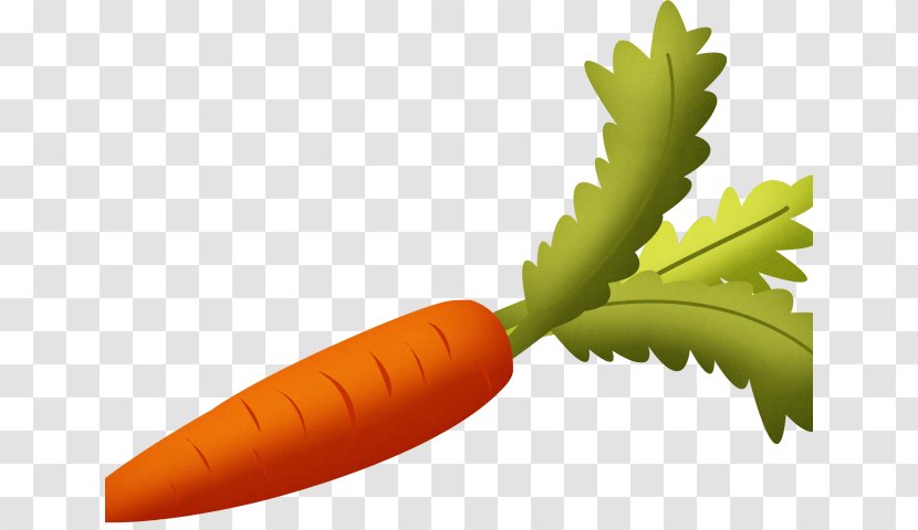 Clip Art Carrot Root Vegetables - Vegetable - Maroon Balloon Transparent PNG