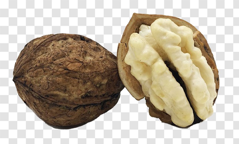 English Walnut Peel - Wet Walnuts - Meat With Skin Transparent PNG