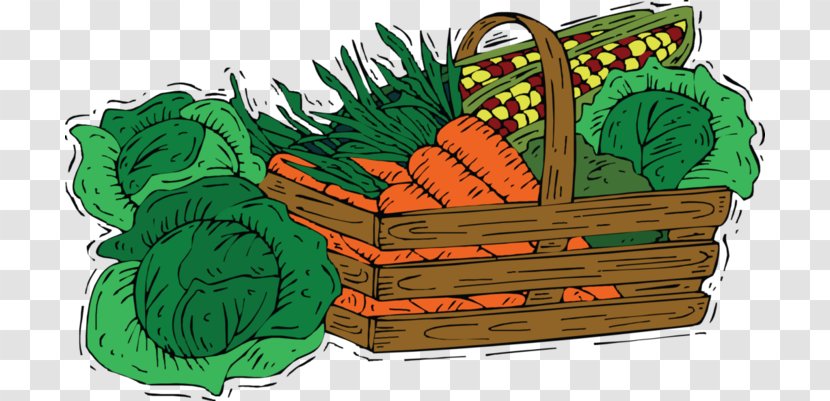 Vegetable Cabbage Image Food Carrot - Drawing Transparent PNG