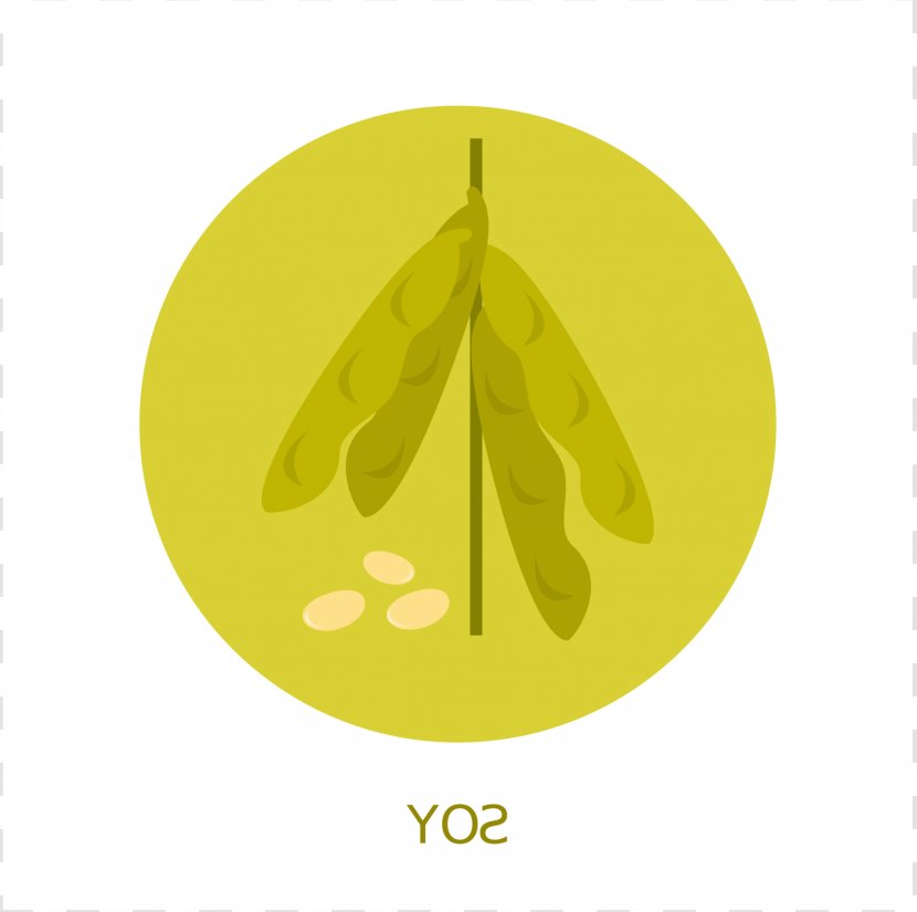 Logo Font Leaf Tree Fruit - Legume Transparent PNG