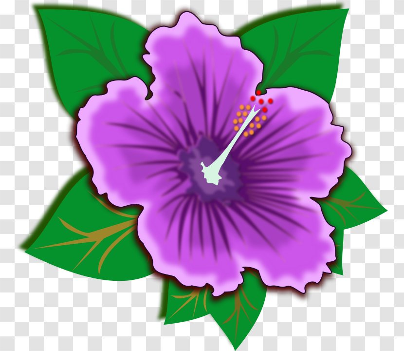 Hibiscus Schizopetalus Flower Purple Clip Art - Mallow Family - Cliparts Transparent PNG