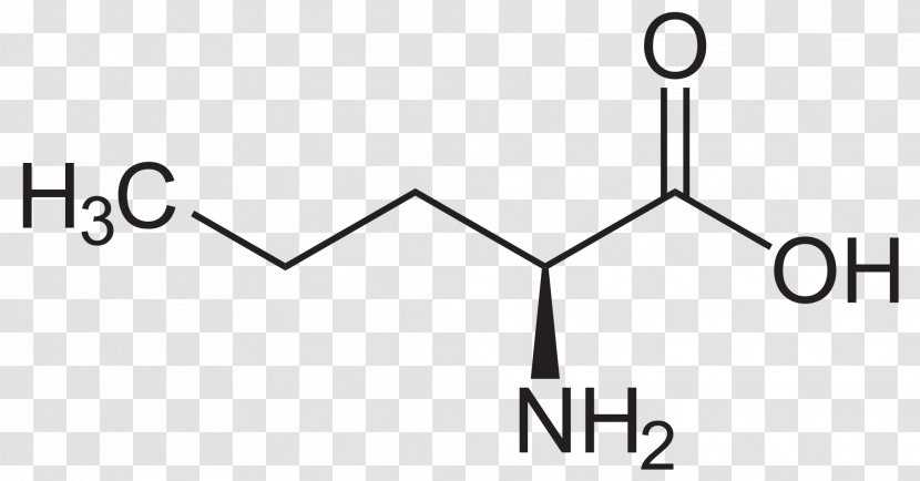 Methionine Isoleucine Essential Amino Acid Transparent PNG