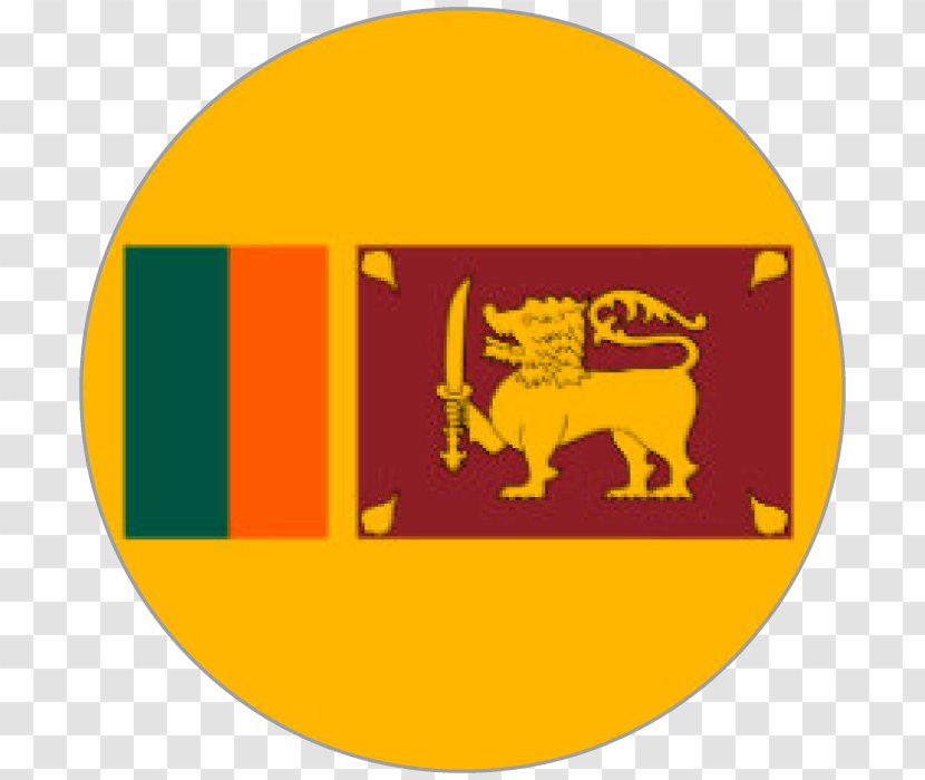 Flag Of Sri Lanka Homagama Palk Strait National - Orange Transparent PNG