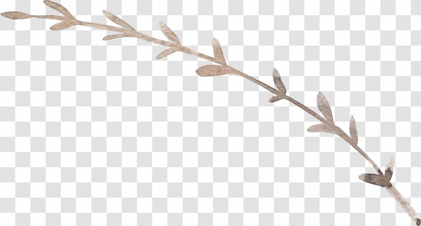 Twig Plant Stem Leaf Antler Line Transparent PNG