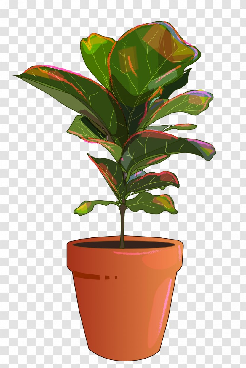 Leaf Flowerpot Houseplant Plant Stem - Tree - Fig. Transparent PNG