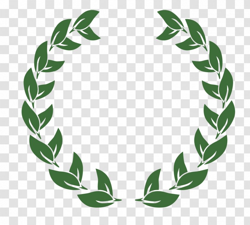 United States Logo Graphic Design Laurel Wreath - Olive Branch Vector Material Transparent PNG