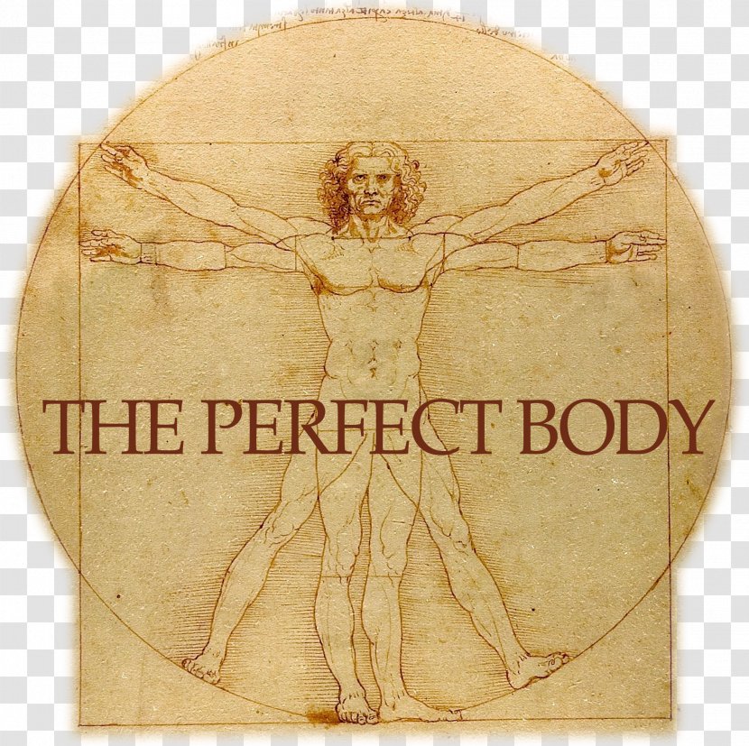Vitruvian Man Gallerie Dell'Accademia St. John The Baptist Drawing Renaissance - Painter - Perfect Body Transparent PNG