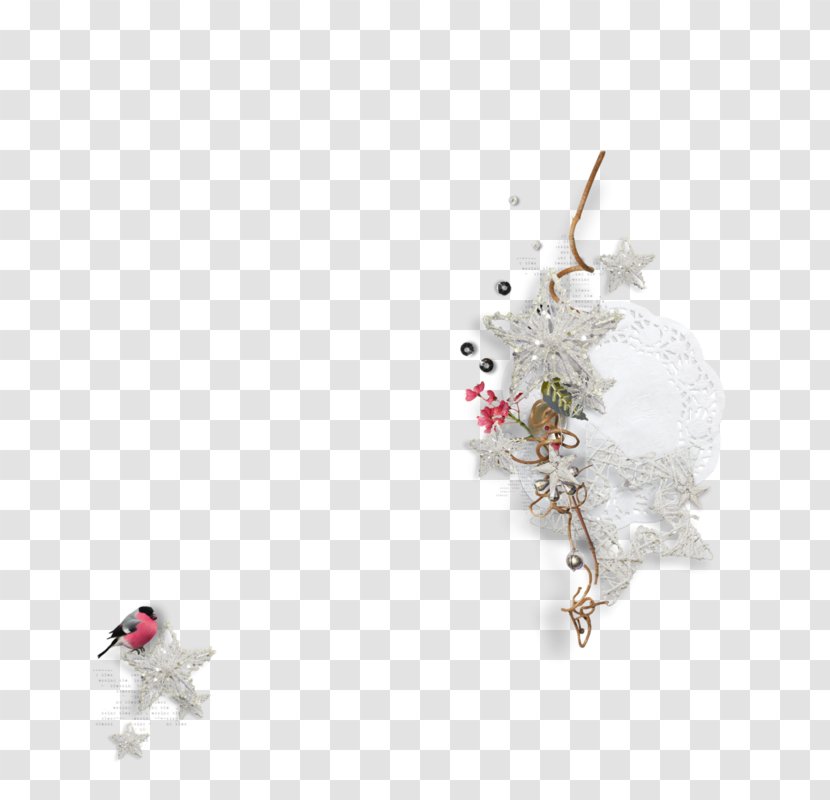 Christmas Flower - White - Plant Transparent PNG