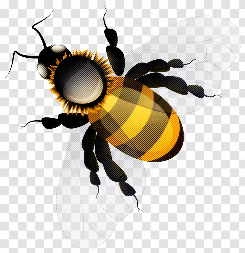 Bumblebee - Hornet Pest Transparent PNG