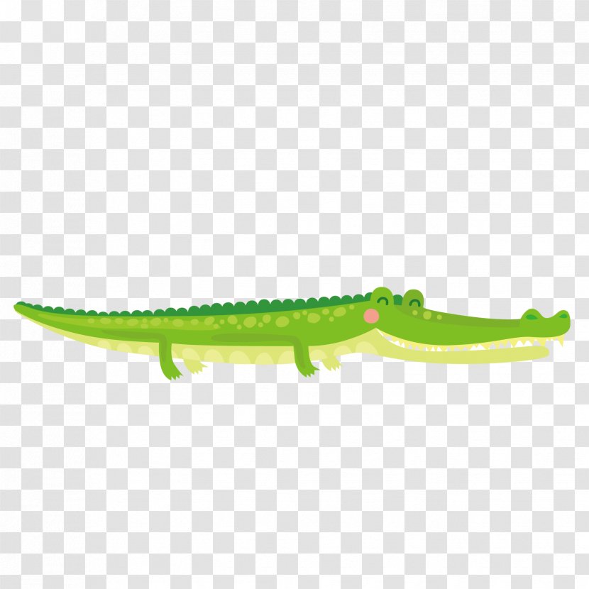 Vector The Crocodile Cartoon - Designer - Hand-painted Transparent PNG