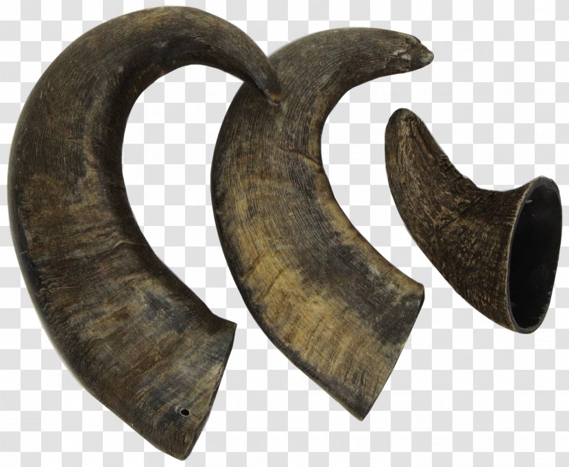 Dog Horn Water Buffalo Antler Deer - Pack Transparent PNG