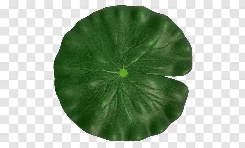 Leaf Green Flower Plant Symbol Transparent PNG