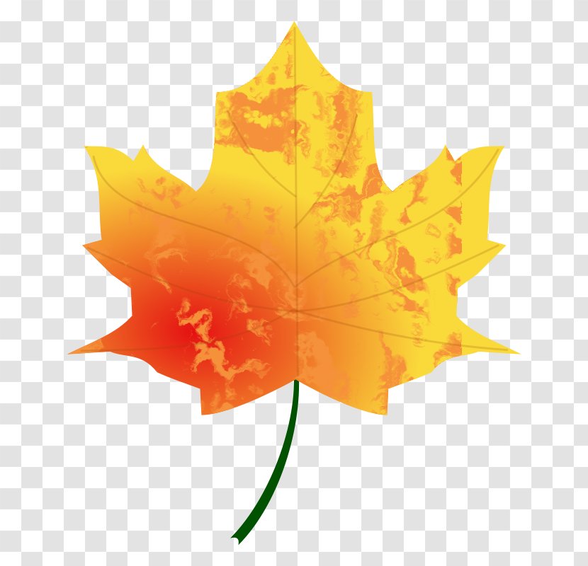 Autumn Leaf Color Tree Transparent PNG