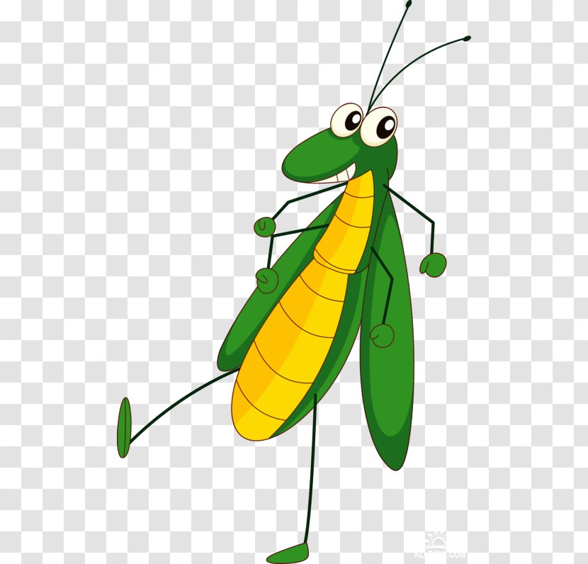 Insect Cartoon Grasshopper Transparent PNG