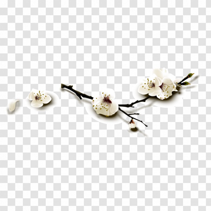Cherry Blossom - Flower - Blossoms Transparent PNG