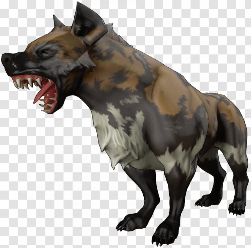 Wildlife Terrestrial Animal Snout Carnivora Transparent PNG