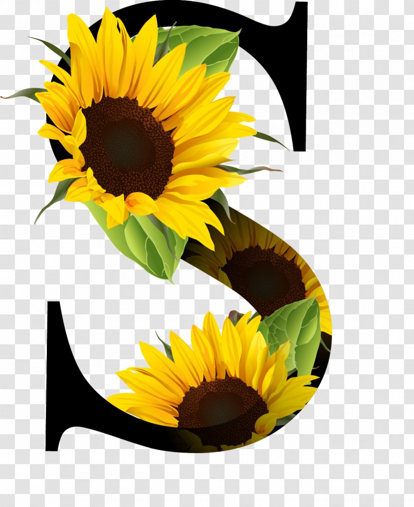 Letter Alphabet - Yellow - Sunflower Oil Transparent PNG