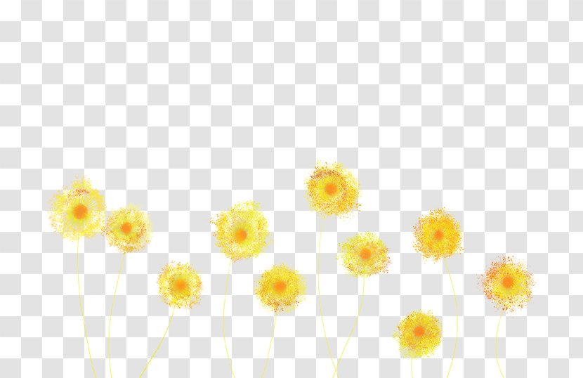 Dandelion Yellow Flower Blue Orange - Common Sunflower Transparent PNG