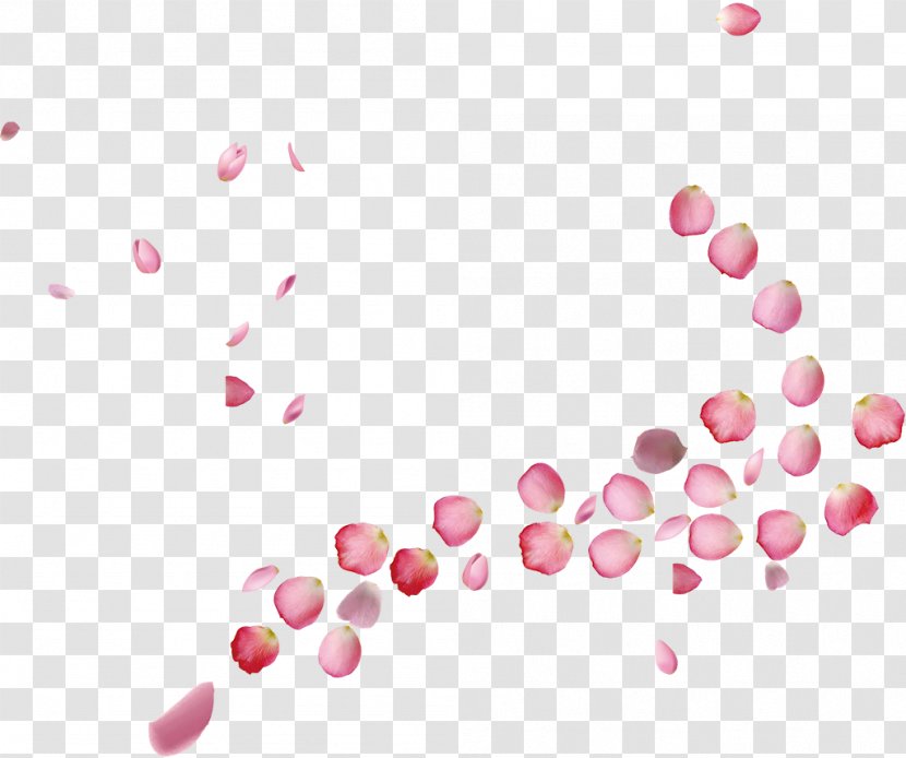 Petal Template Pink - Falling Peach Blossoms Transparent PNG