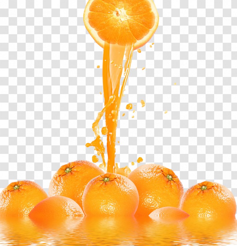 Orange Juice Smoothie Fruit - Immersion Blender - Watermark Transparent PNG