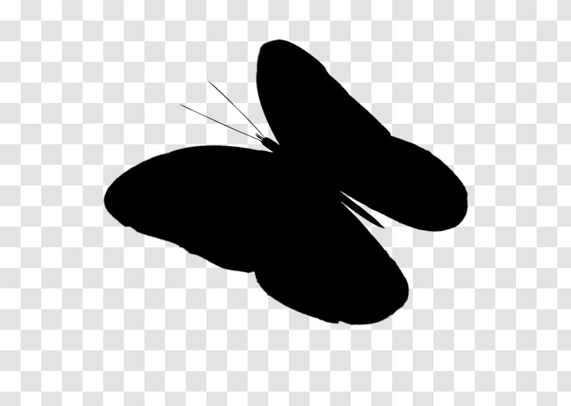 Clip Art Shoe Line Silhouette M. Butterfly Transparent PNG