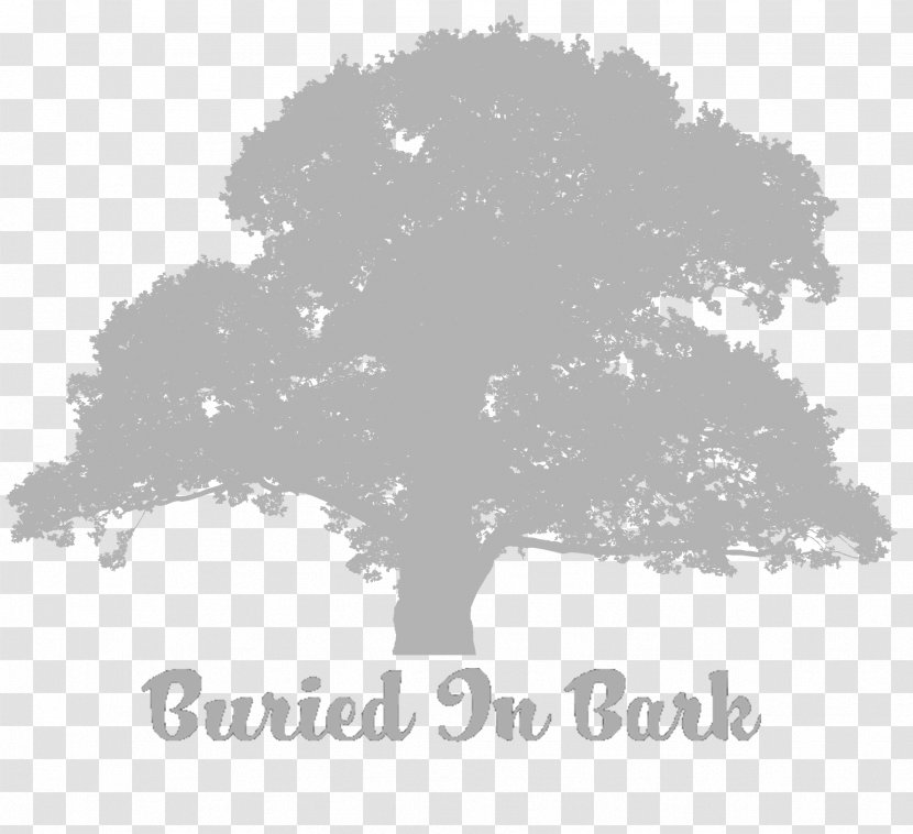 Clip Art Tree Image English Oak - Drawing Transparent PNG