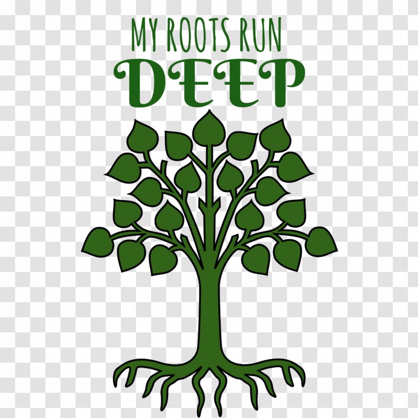 Root Woody Plant Tree Clip Art - Flora Transparent PNG