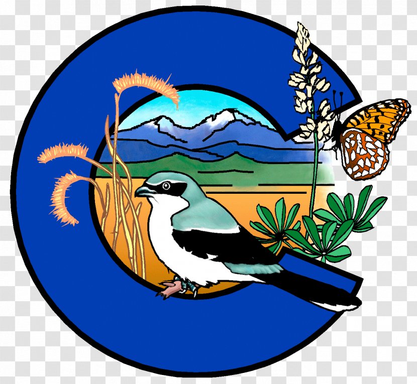 Colorado Natrual Heritage Program Clip Art Natural Cultural Nature - Wetland Plants Transparent PNG
