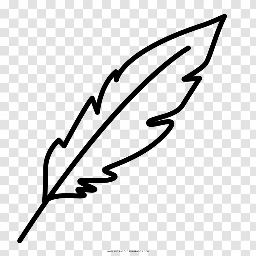 Drawing Coloring Book Painting Feather Transparent PNG