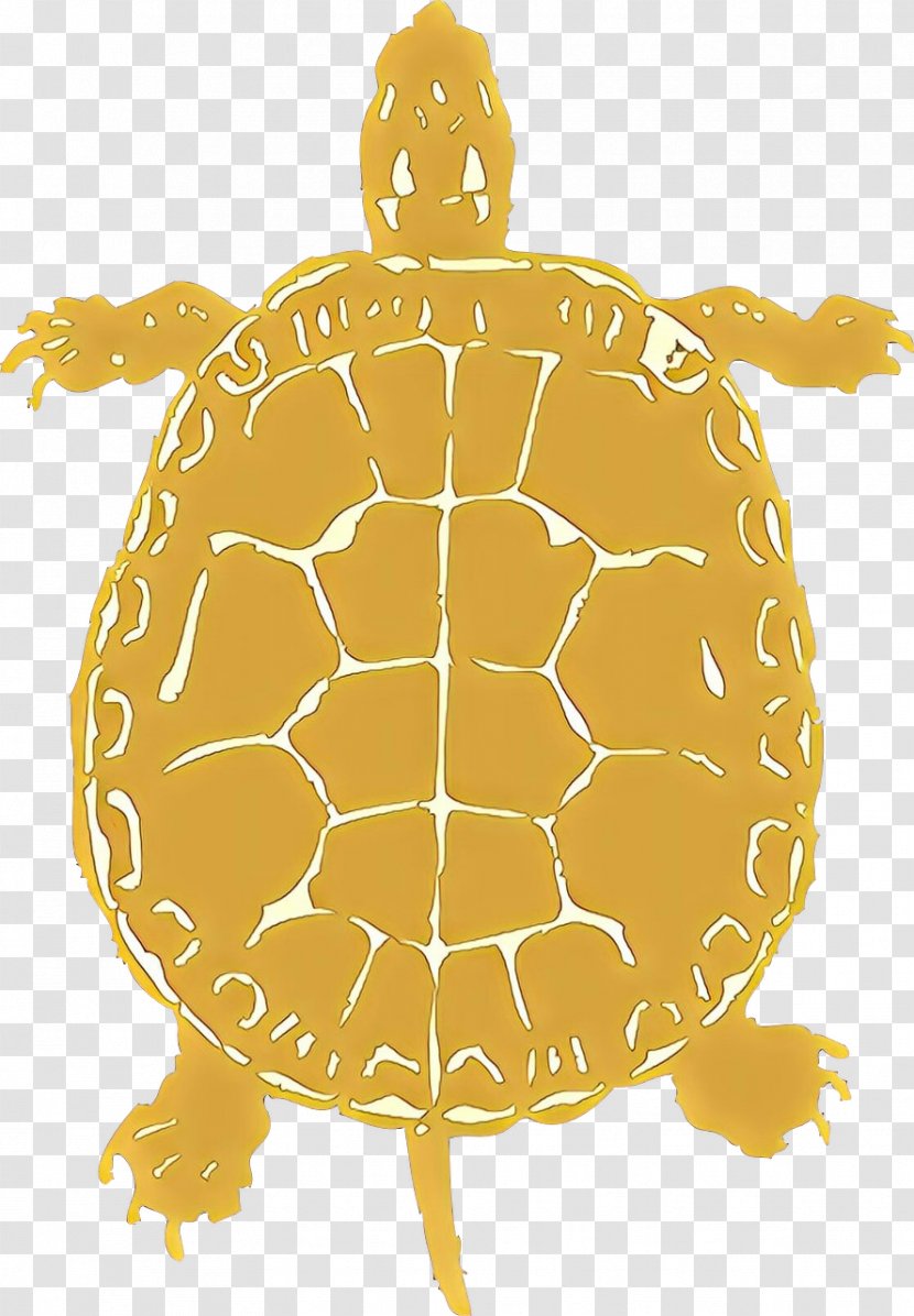 Sea Turtle Background - Painted - Box Transparent PNG