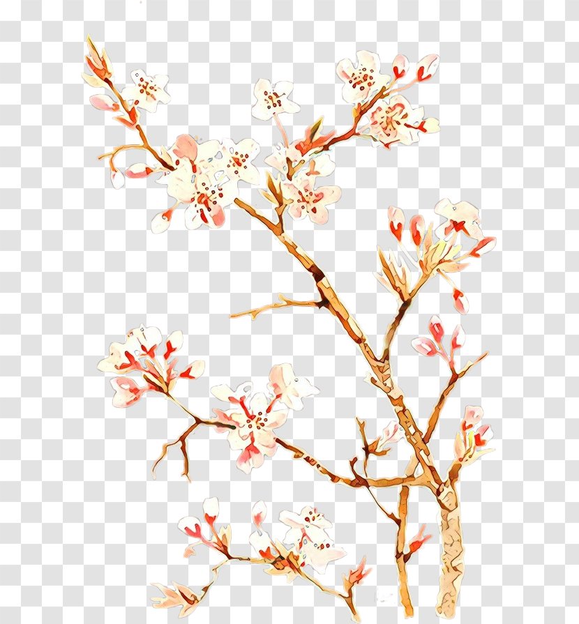 Cherry Blossom - Cartoon - Plant Stem Transparent PNG