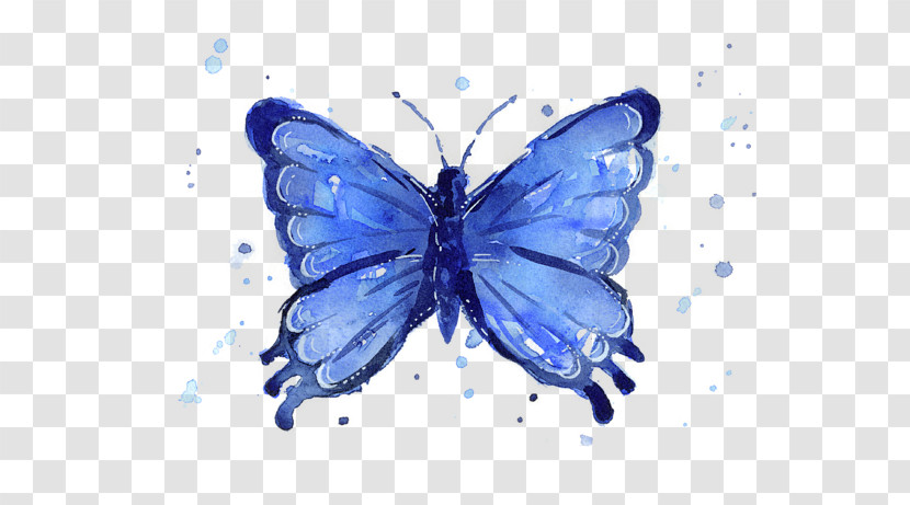 Moths And Butterflies Butterfly Insect Pollinator Blue Transparent PNG