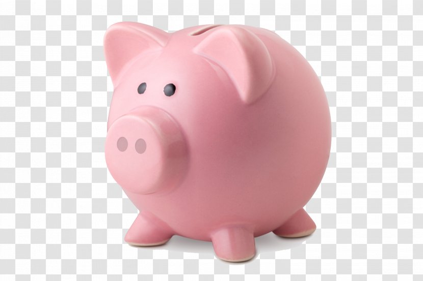 Piggy Bank Money Saving Stock Photography - Snout - Pig Transparent PNG