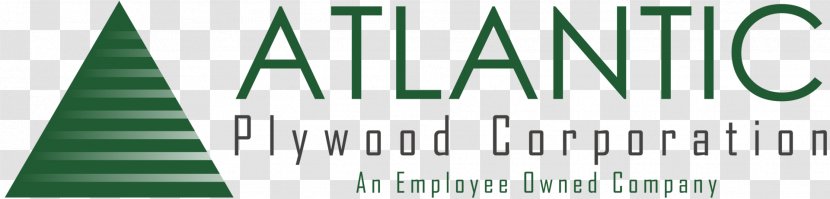 Atlantic Arts Inc Plywood Company Industry Architectural Engineering - Project Transparent PNG