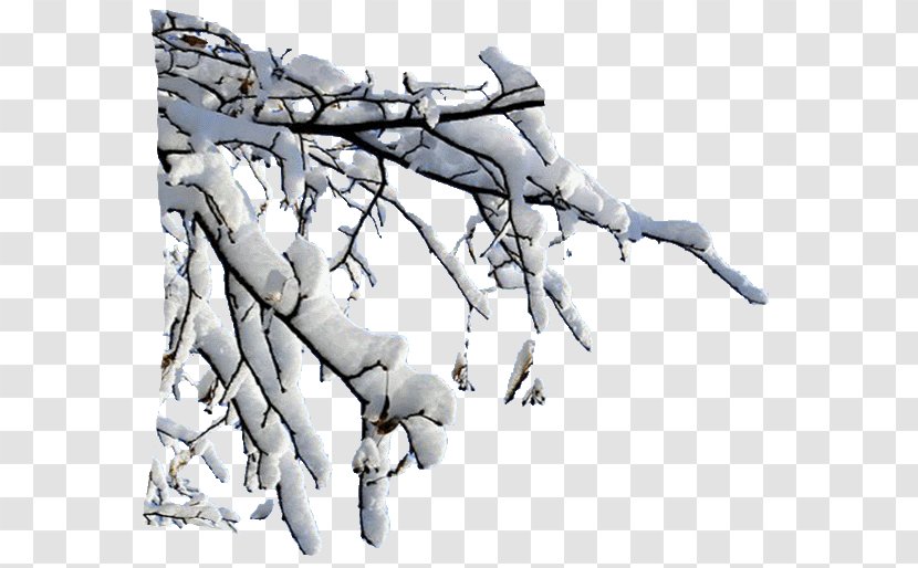 Snow Depositphotos Internet - Hand Transparent PNG