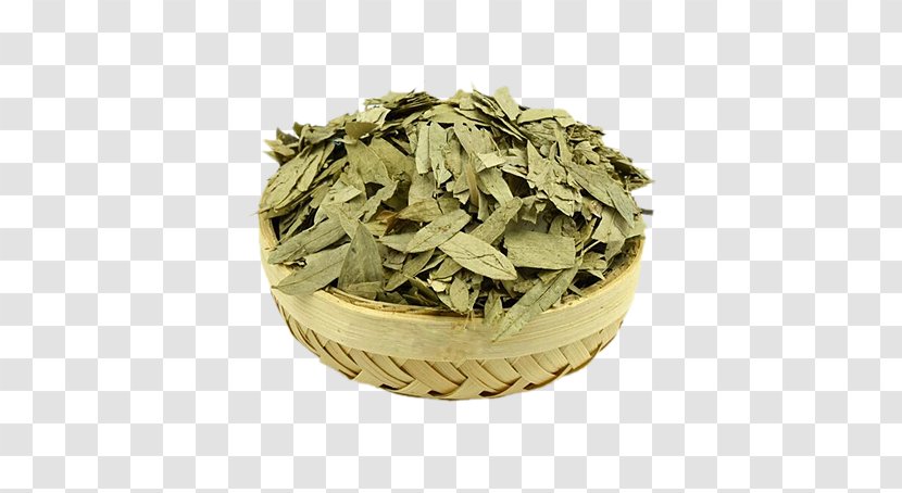 Herbal Tea Senna Glycoside Laxative Crude Drug - Price - Image Transparent PNG